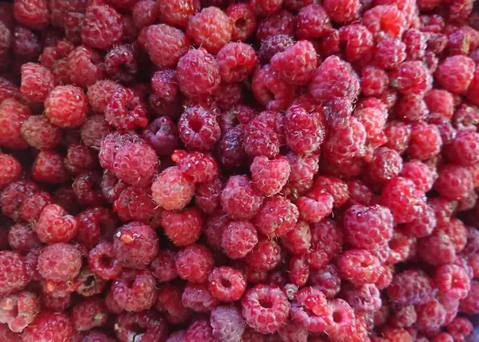 Menkenhof بيت ضيافة 4*